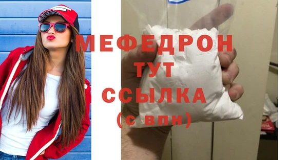 индика Михайлов