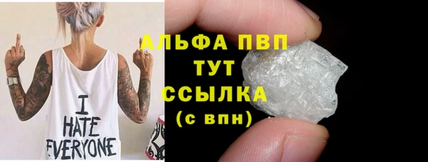 прущие грибы Мегион