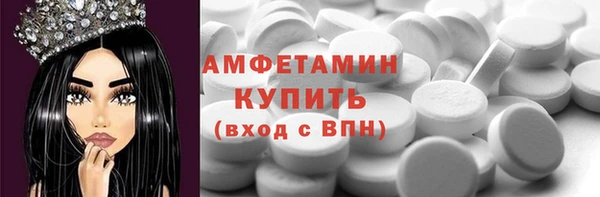 индика Михайлов