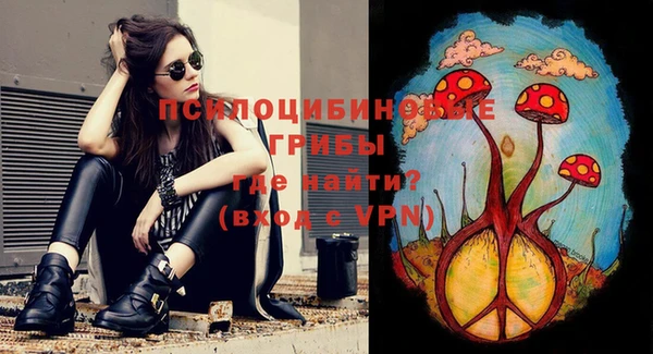 индика Михайлов