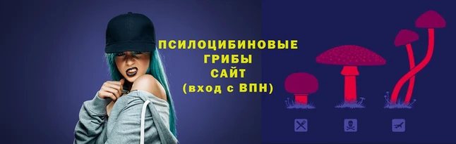 индика Михайлов