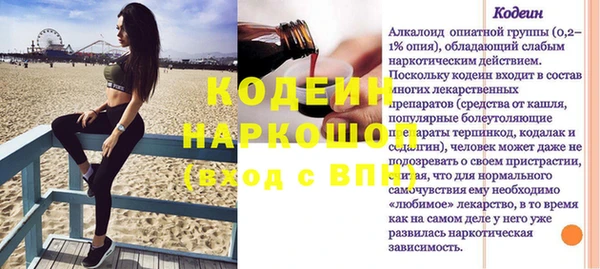 индика Михайлов