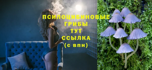 мдма Медногорск