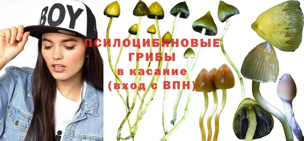 прущие грибы Мегион