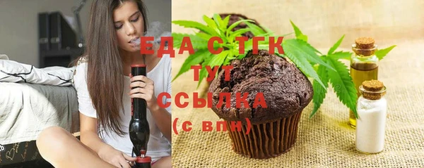 индика Михайлов