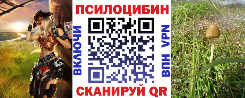 Галлюциногенные грибы мицелий  купить наркотики цена  Грайворон 